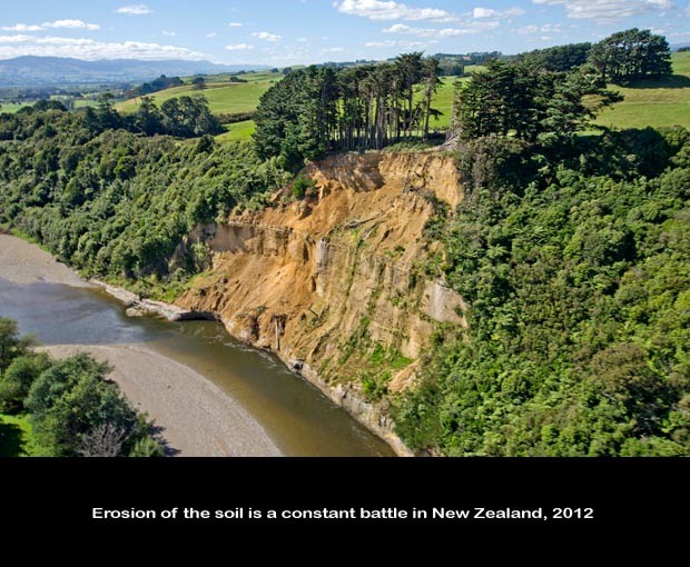 NZ035-Cliff-Erosion_NZ-0983